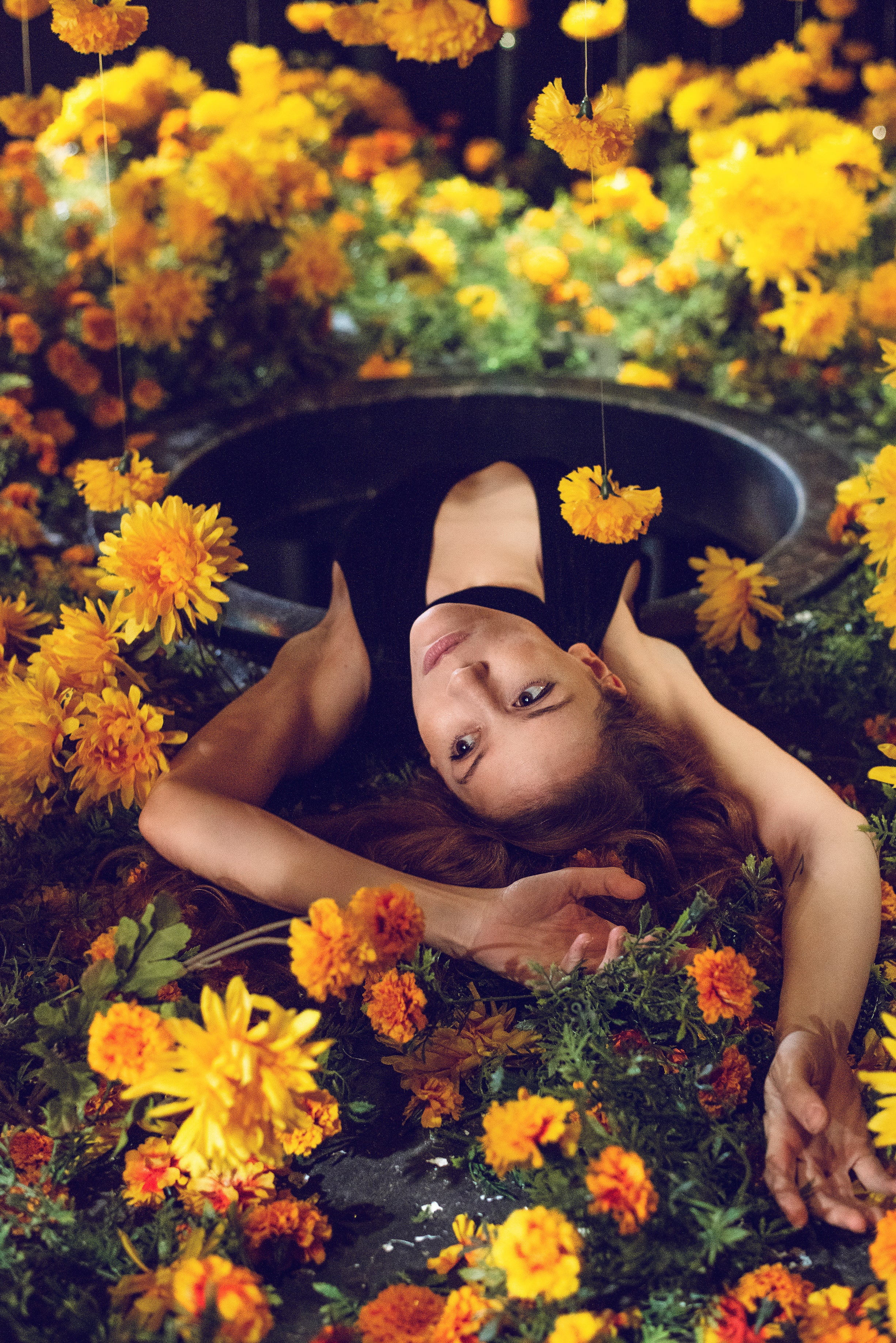files/into-the-rabbit-hole-and-back-into-a-garden-of-marigolds.jpg